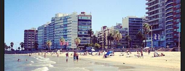 Montevideo is one of World Capitals.