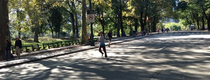 Central Park Loop is one of My Little Corner of the World.