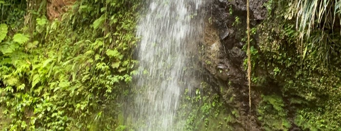 Pitons Warm Spring Mineral Waterfall is one of Islands.