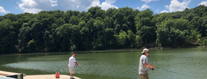 Griffy Lake is one of Bloomington Parks.