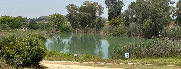 National Park Afek is one of israel.