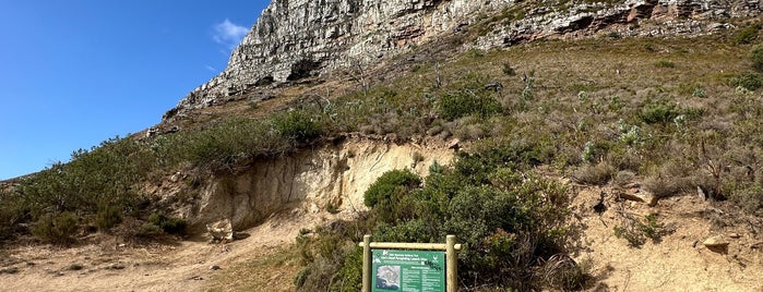Lions Head Trail is one of Cape Town, South Africa.