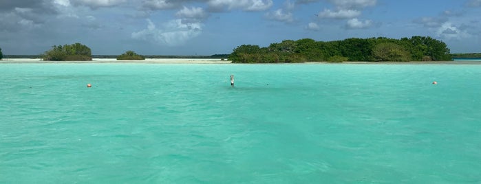 Isla de los pájaros is one of Quintana Roo.