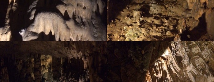 La grotta Biserujka is one of Posti che sono piaciuti a Timo.