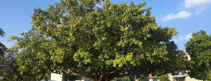 Hanimaadhoo International Airport (HAQ) is one of 1903.