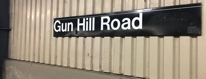 Gun Hill Road is one of Fun.