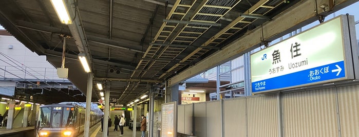 Platform 1 is one of JR神戸線の駅ホーム.