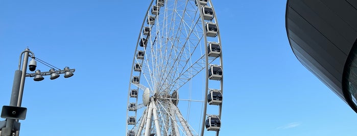 The Wheel of Liverpool is one of Lieux qui ont plu à Burak.