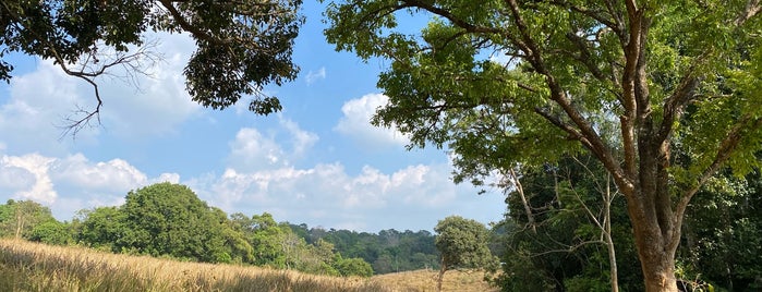 Khao Yai National Park is one of Thailand.