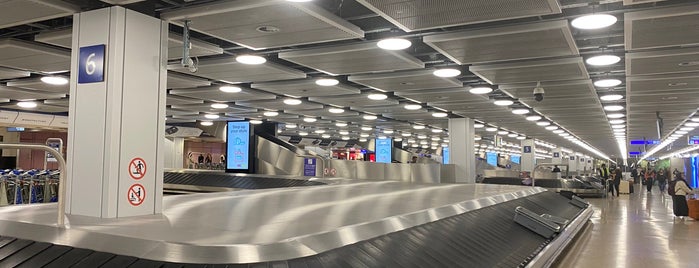 Baggage Claim is one of Geneva (GVA) airport venues.