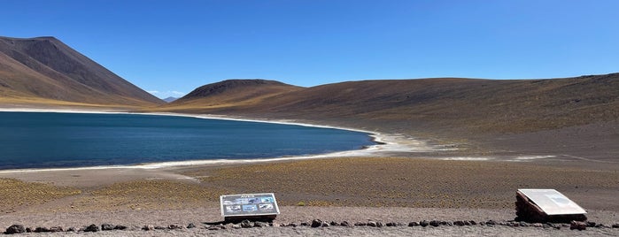 Laguna Miscanti is one of Чили.