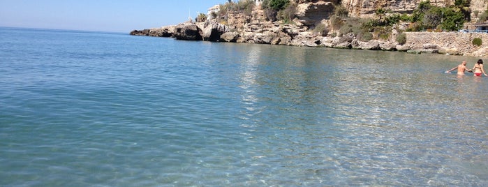 Playa El Salón is one of asidua.