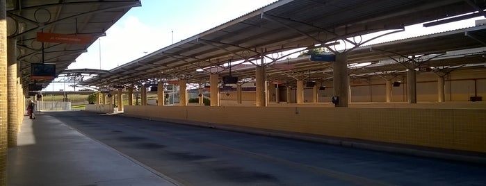 Terminal Central de São José dos Pinhais is one of Lugares para ir de Ônibus.
