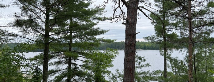 Voyageurs National Park is one of Parks in Minnesota.
