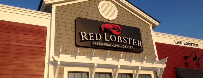 Red Lobster is one of สถานที่ที่ Lori ถูกใจ.
