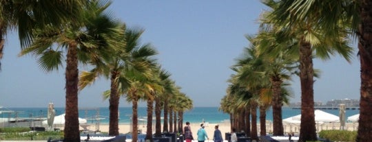 Meydan Beach Club is one of Lugares favoritos de Agneishca.