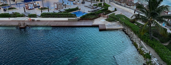 Delphinus Hyatt Ziva is one of Top To Do List Cancun.