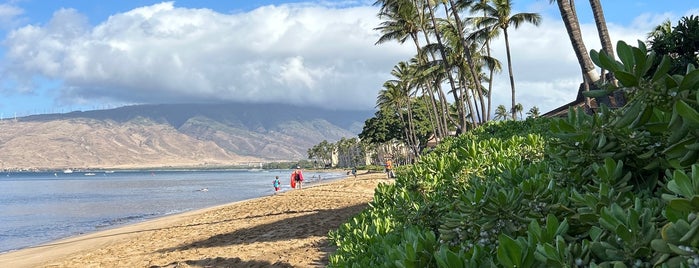 Sugar Beach is one of Maui.