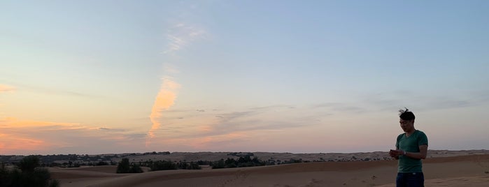 Al Maha's Camel Farm is one of The UAE & Dubai.