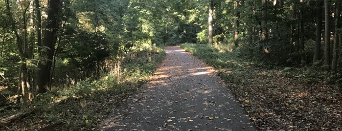 Jones Falls Trail is one of The 15 Best Places for Park in Baltimore.