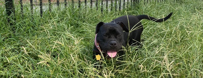 Liberty Dog Park is one of Dog Parks in Maryland.