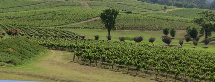 Ivanhoe Wines is one of Claudia'nın Beğendiği Mekanlar.