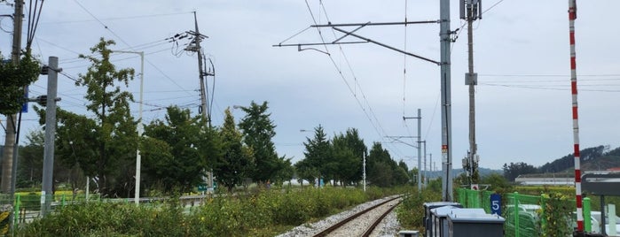 임진강역 is one of 수도권 도시철도 2.