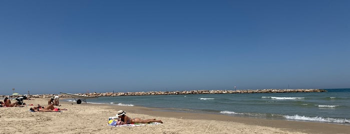 Metzitzim Beach is one of Plages.