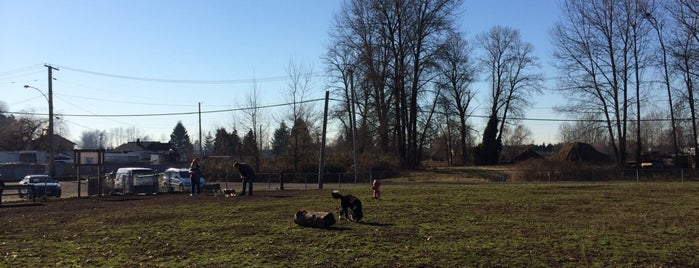 Queensborough Off Leash Dog Park is one of All-time favorites in Canada.