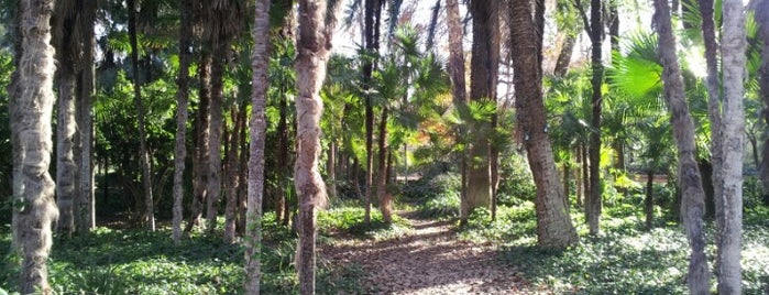 Parque de María Luisa is one of Andalucía: Sevilla.