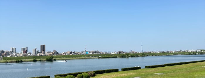 江戸川河川敷 is one of 東京_公園.