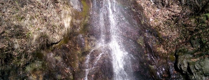 Сопотски водопад is one of Waterfalls.