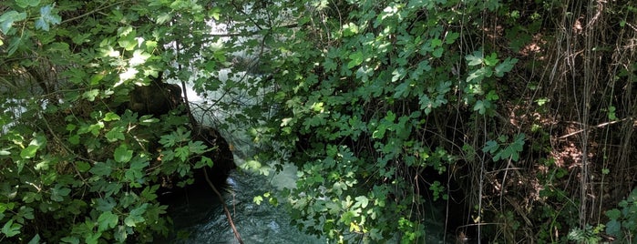 Hermon Stream (Banias) Nature Reserve is one of Locais curtidos por Marlon.