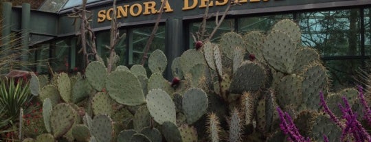Sonora Desert is one of Lieux qui ont plu à Jameson.