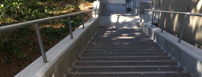 Top of the Larkin Street Stairs is one of San Fran (to-do list).