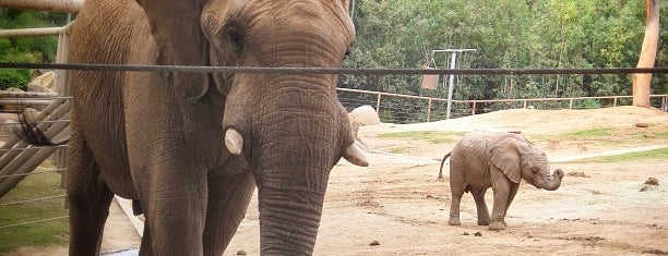 Elephant Overlook is one of Tempat yang Disukai Lori.