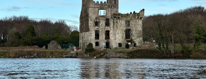 Menlo Castle is one of Galway.