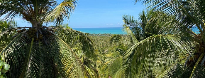 Dunas de Marapé is one of Maceió-AL.