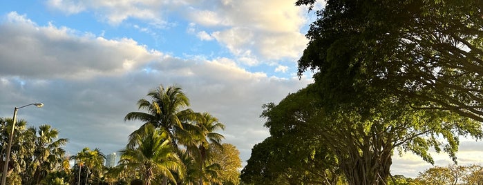 Morningside Park is one of Brownsville - Miami.