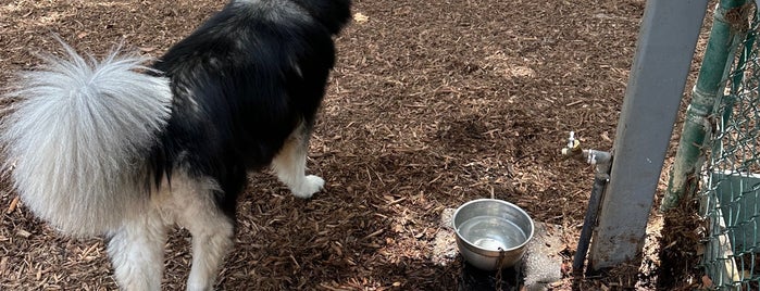 William S. Hart Park & Off-Leash Dog Park is one of For K9 friends in SFValley+.