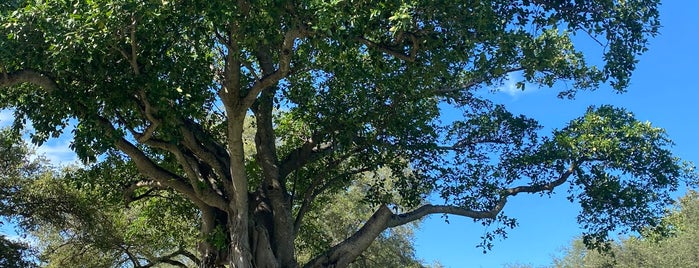 Legion Memorial Park is one of PLACES.