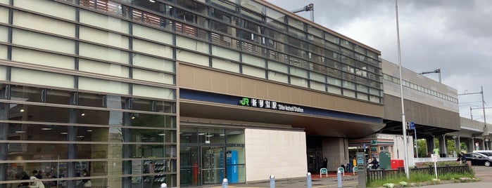 Shin-Kotoni Station is one of 道央の駅.