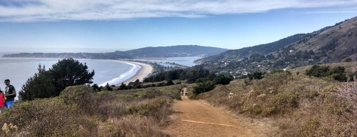 Steep Ravine Trail Run is one of Happy trails #sf #bayarea.