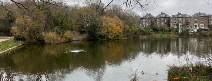 Hampstead Heath Ponds is one of สถานที่ที่ Asa ถูกใจ.