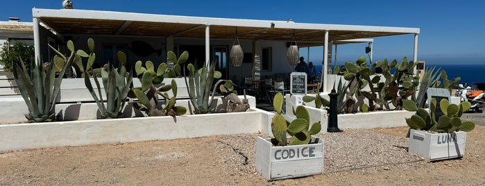 Codice Luna is one of Ibiza.