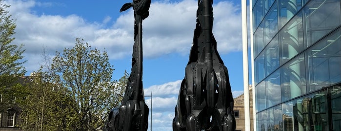 Omni Giraffes is one of Things to see in Edinburgh.