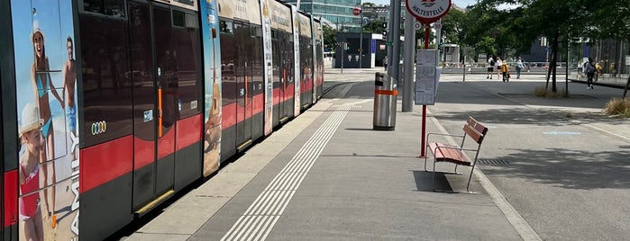 H Quartier Belvedere is one of Straßenbahnstationen.