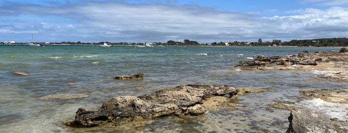 Estany des peix is one of Formentera.