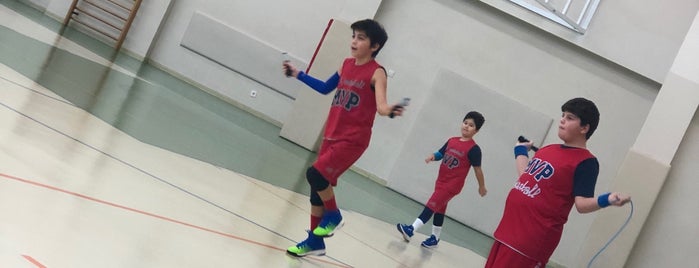 Ibrahim Kutluay Basketball Academy Metin Sabanci Spor Salonu is one of Posti che sono piaciuti a Alper.