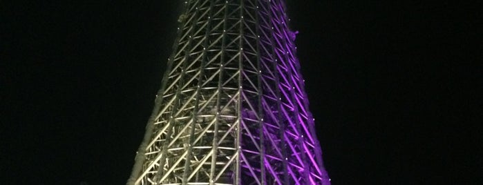 Tokyo Skytree Station (TS02) is one of pikachu.